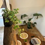 Charmants Au Coeur D'arras Appartement *