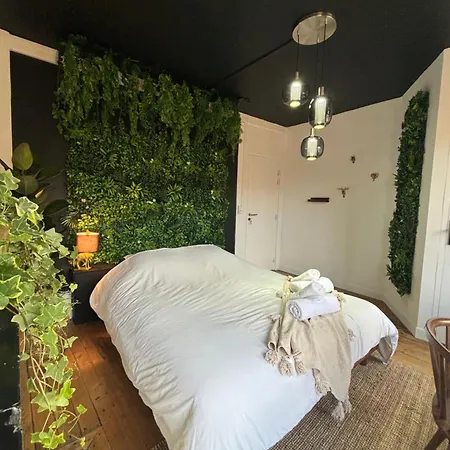 公寓 La Maison D'aline 阿拉斯