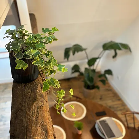 La Maison D'aline Apartment *